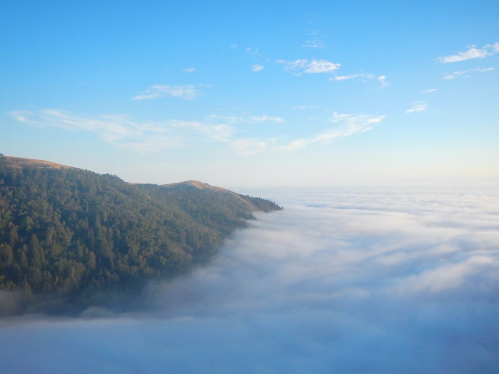 Natural yoga in nature, Monterey County